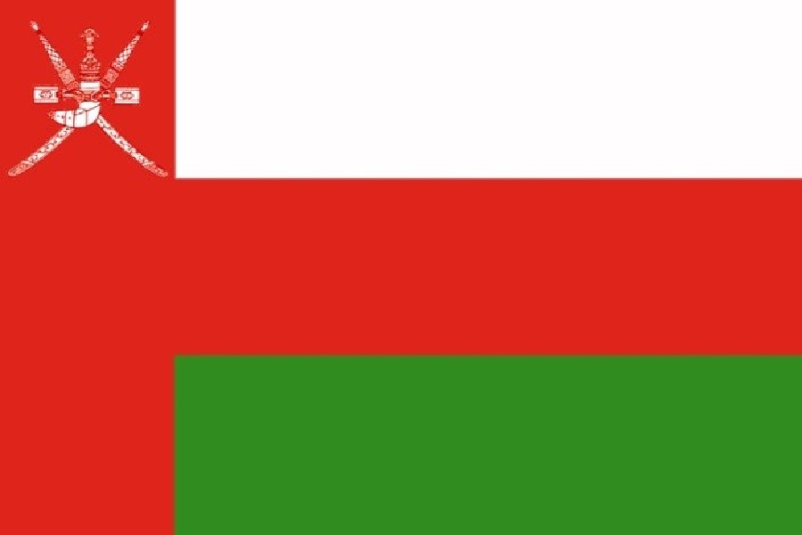 Saudi journalist accuses Oman of war against neighbors Saudi journalist accuses Oman of war against neighbors