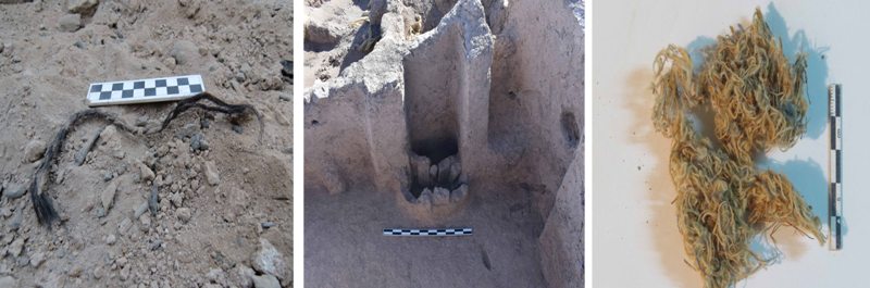 Elite architecture discovered in SE Iran Elite architecture discovered in SE Iran