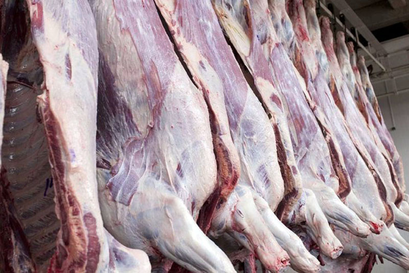 1107 تن گوشت سفيد و قرمز در كردستان توزيع شد