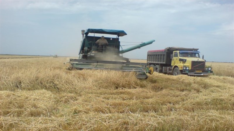 Iran, Finland to boost agricultural cooperation Iran, Finland to boost agricultural cooperation