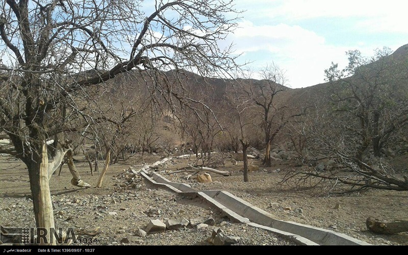 خشكسالی به 80 درصد باغات چهارمحال و بختیاری خسارت زد