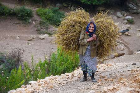 3500 زن روستايي آذربايجان غربي عضو صندوق اعتباري زنان هستند