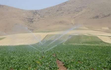 كشت پاييزه محصولات كشاورزي در كرمانشاه آغاز شد