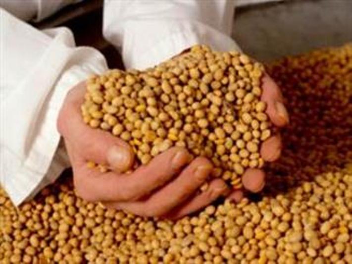 1,900 tons of livestock products exported from western Iran 1,900 tons of livestock products exported from western Iran