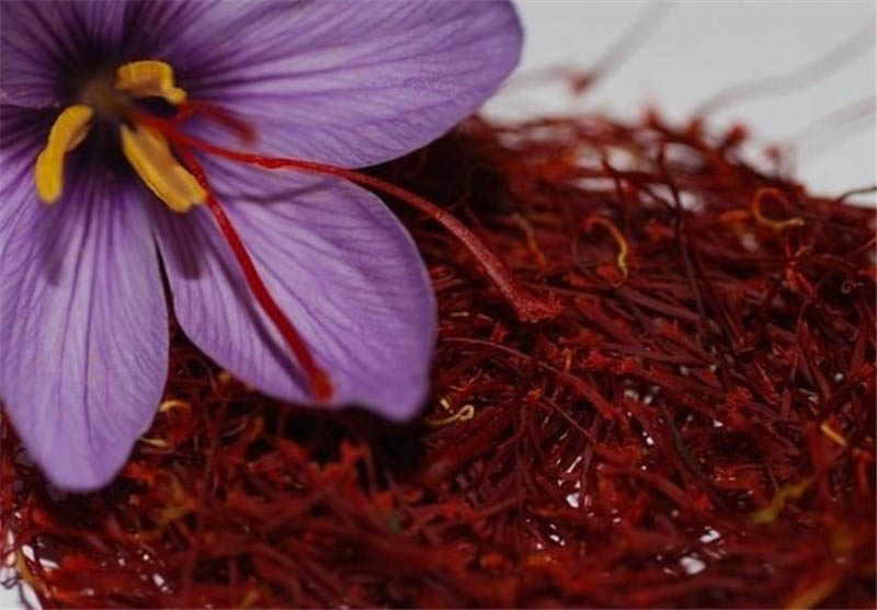 Iran earns $115m out of saffron exports Iran earns $115m out of saffron exports