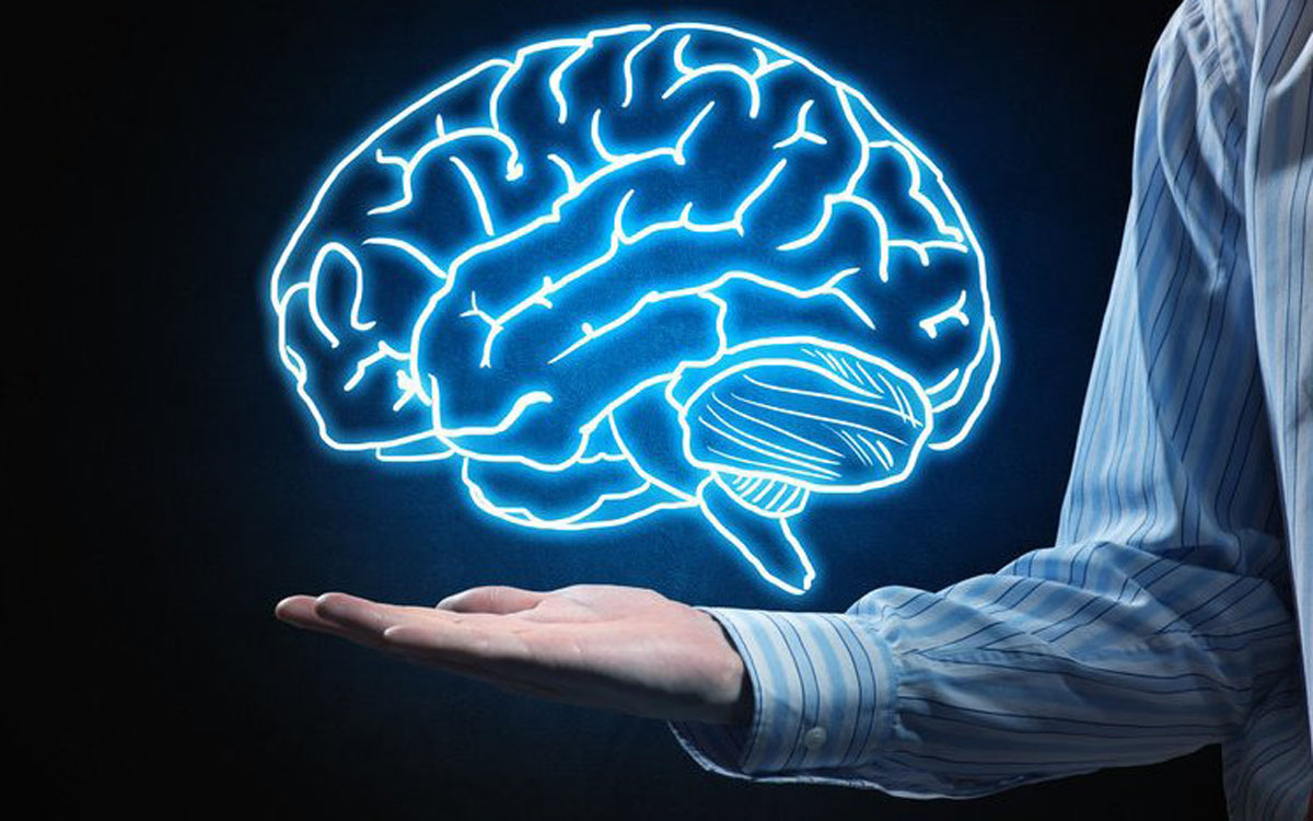 Iran to cooperate in brain mapping with top universities Iran to cooperate in brain mapping with top universities