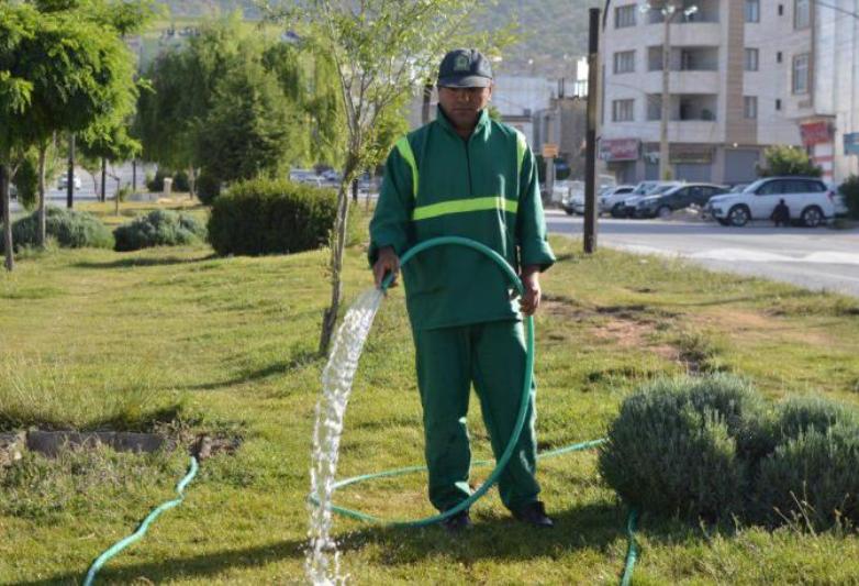 سرانه فضاي سبز شهري كامياران 50 سانتي متر مربع بيشتر شد