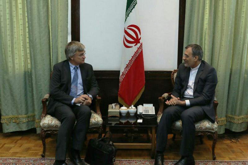 Swedish special envoy confers with FM senior aide Swedish special envoy confers with FM senior aide
