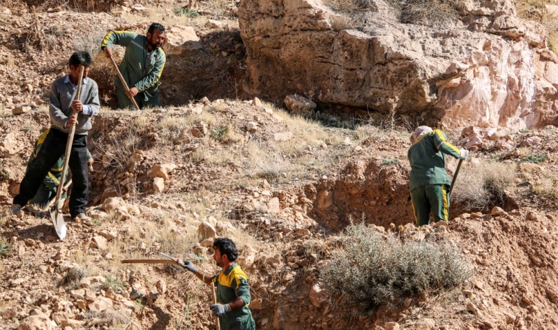 300 اصله نهال جنگلي در ارتفاعات تنگ خور لارستان كاشته شد