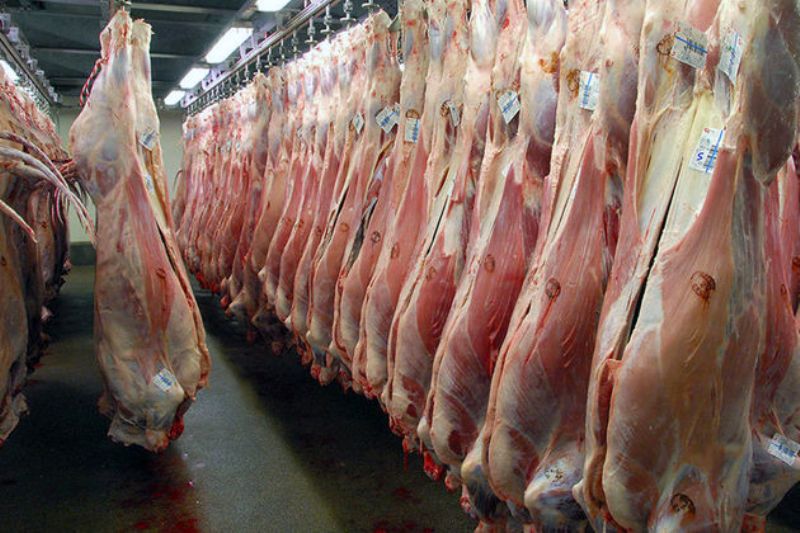 12 ميليارد ريال براي توليد گوشت قرمز به عشاير يزد پرداخت شد