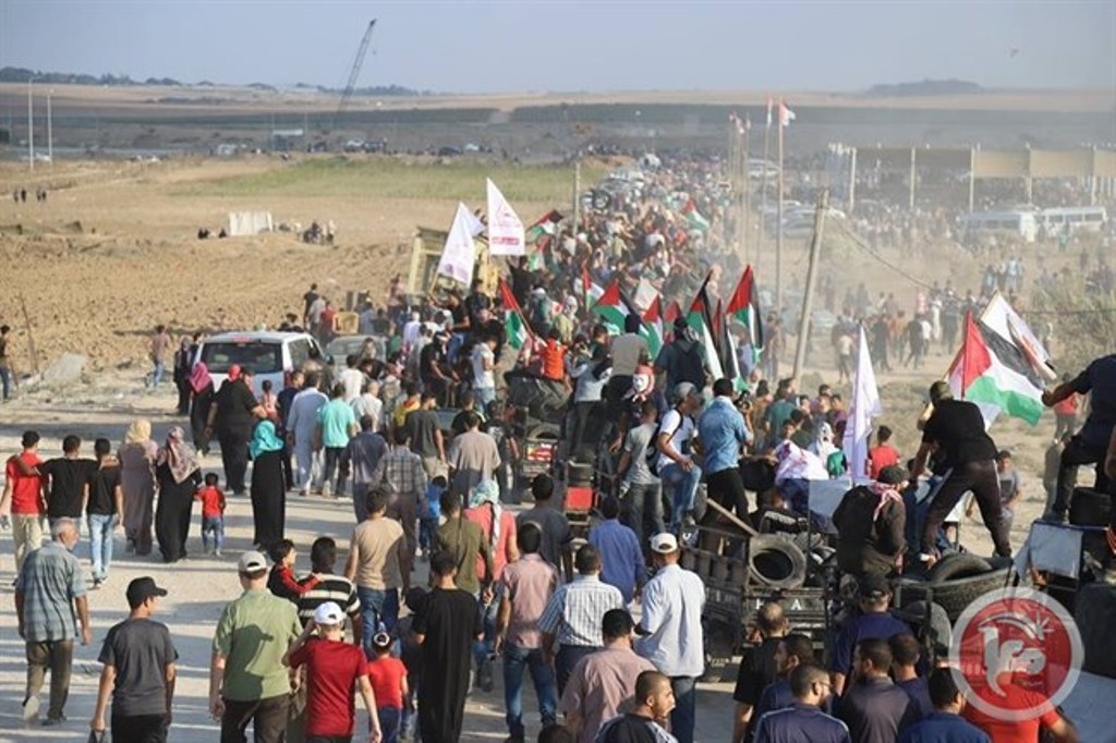 Six Palestinians killed, dozens more injured in Gaza Six Palestinians killed, dozens more injured in Gaza