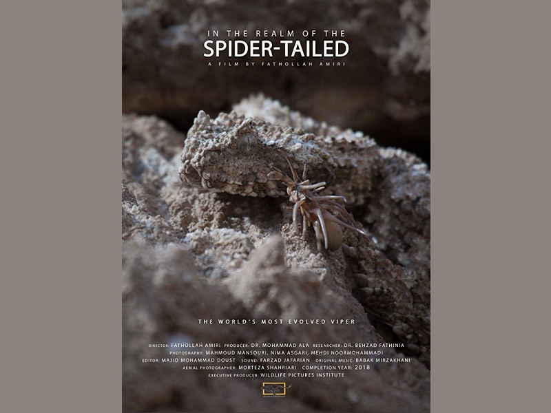 Iranian docu nominated for Wildscreen film festival award Iranian docu nominated for Wildscreen film festival award