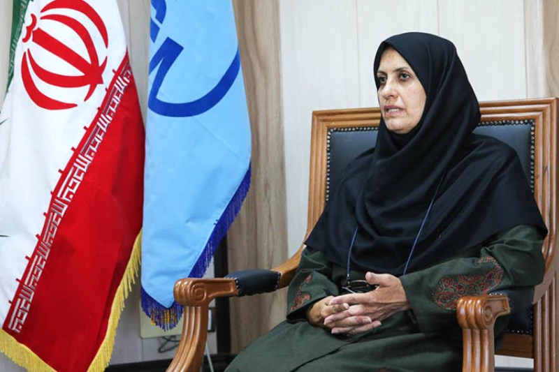 Iran up 10 in world standards ranking: Official Iran up 10 in world standards ranking: Official
