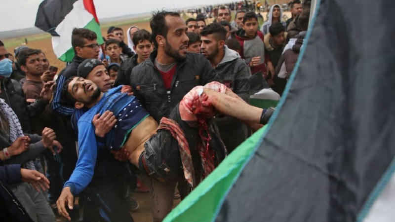 EU urges cessation of hostilities in Gaza EU urges cessation of hostilities in Gaza