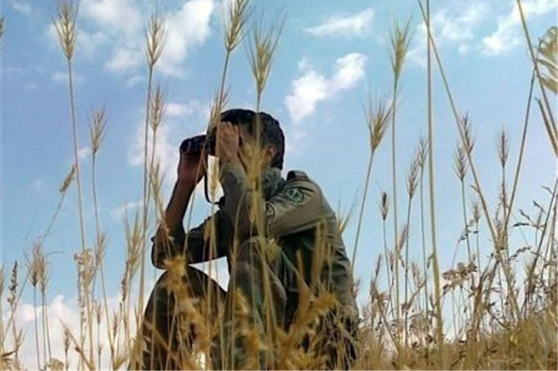 Iranian park ranger killed by poachers Iranian park ranger killed by poachers