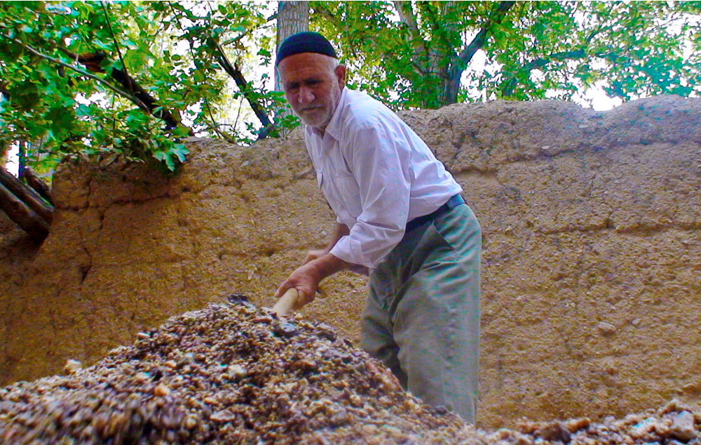 زندگي در روستاهاي البرز جان گرفت