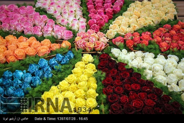 ایران کی دنیا کے 30 ممالک کو پھولوں کی برآمدات ایران کی دنیا کے 30 ممالک کو پھولوں کی برآمدات