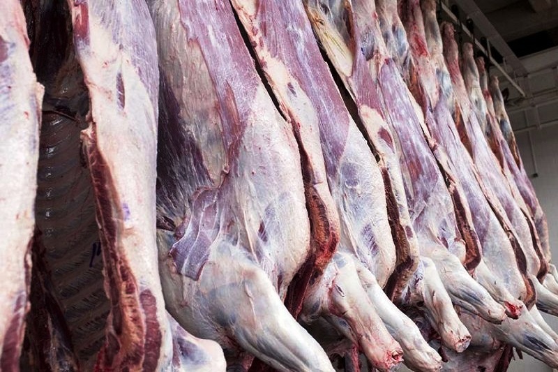توزیع 700 كیلوگرم گوشت گرم در مهاباد آغاز شد