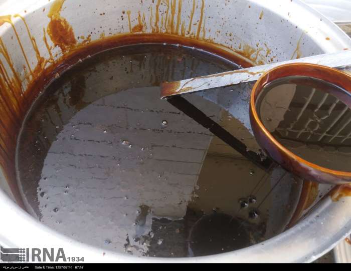 آغاز برداشت خرما از نخیلات قصرشیرین و جای خالی از صنایع تبدیلی