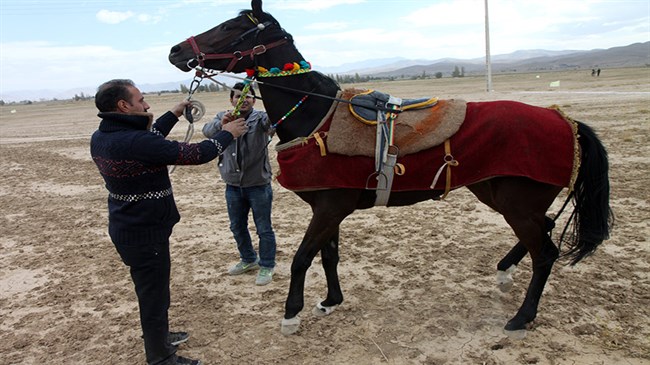 Plans underway to globally register pedigree charts of Persian horse breeds