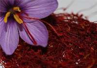 Saffron of Qaenat registered globally