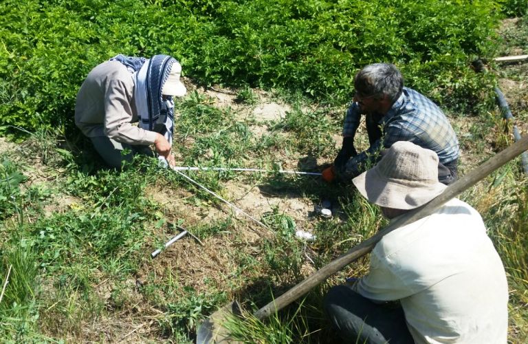 Copper age potteries found in western Iran Copper age potteries found in western Iran