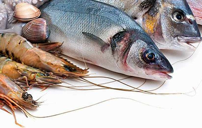 Over 6k tons of aquatic products exported from Bushehr Province Over 6k tons of aquatic products exported from Bushehr Province