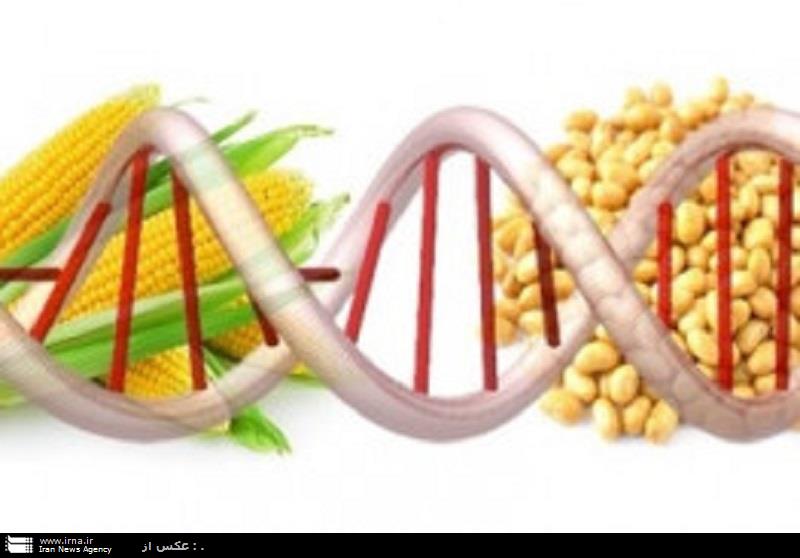 موضوع مهندسی ژنتیك باید در گفتمان دانشگاهی حل شود