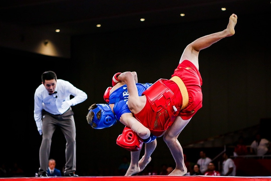 Iran grabs 4 golds in Sanda World Cup Iran grabs 4 golds in Sanda World Cup