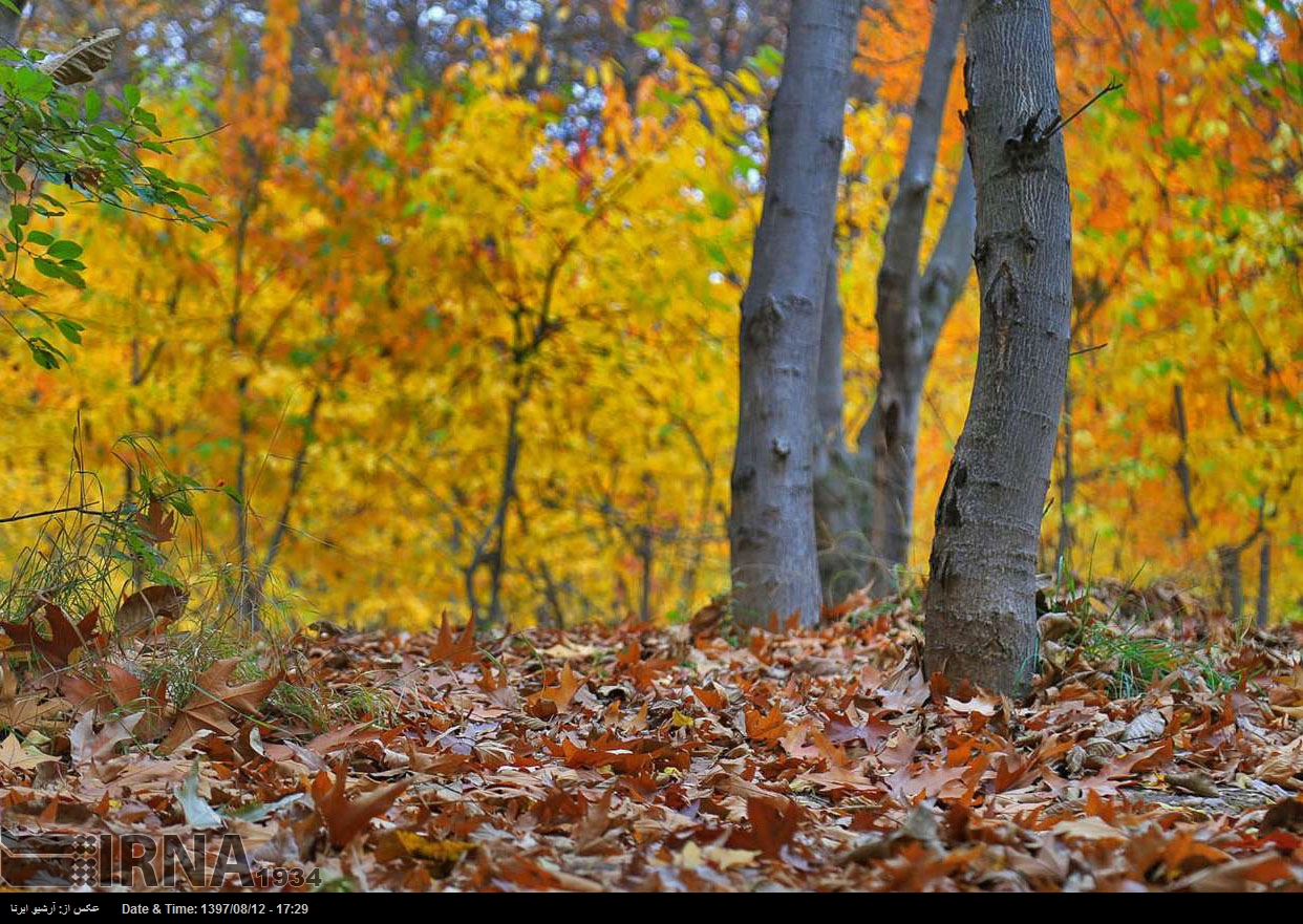 Herbst in Nordosten von Iran Herbst in Nordosten von Iran