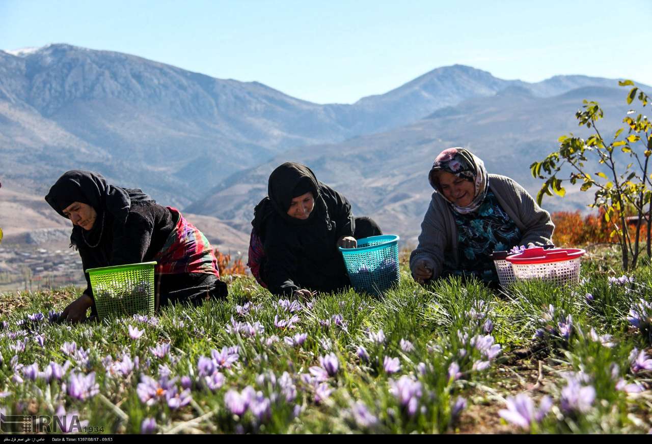 ۱۸۰ روستای گلستان مستعد توسعه گردشگری است