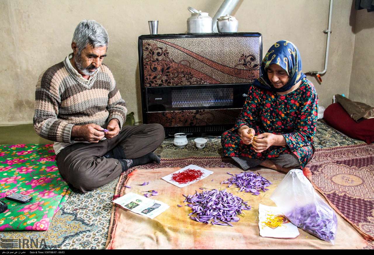 معجزه روحانی کارآفرین برای احیای اقتصاد روستا بدون بودجه دولتی