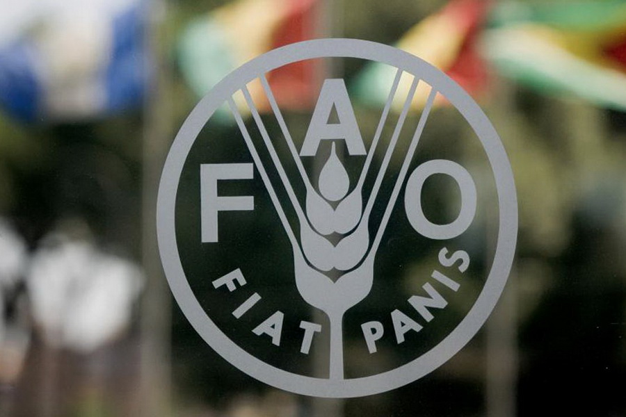 IFIF- und FAO-Mitglieder diskutieren Investitionsmöglichkeiten im Iran IFIF- und FAO-Mitglieder diskutieren Investitionsmöglichkeiten im Iran