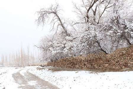 بارش برف ارتفاعات استان مركزي را فرا مي گيرد