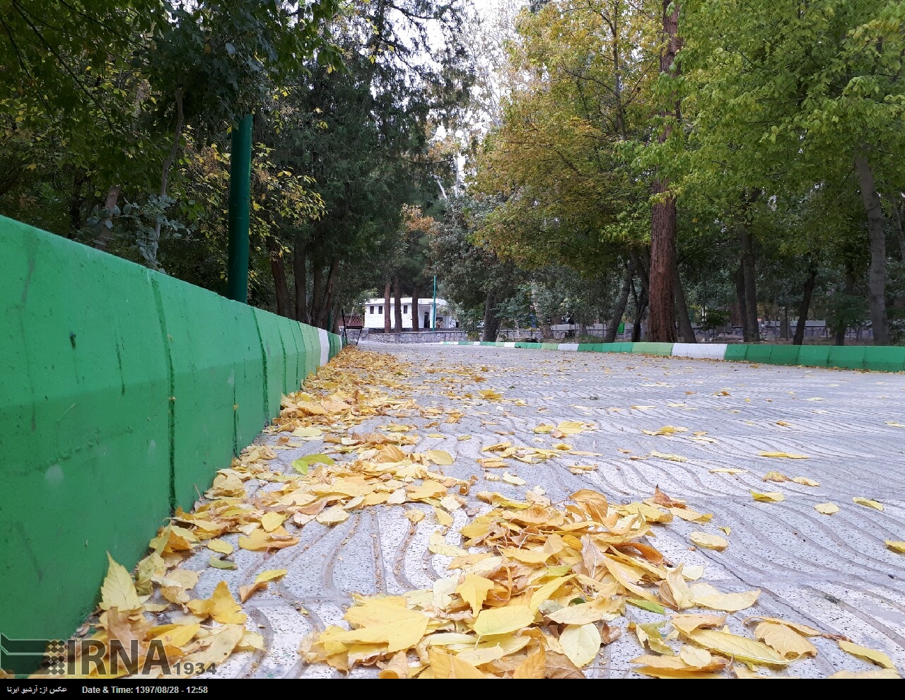 ایرنا - حال و هوای پاییز در پارک آبشار شاهرود