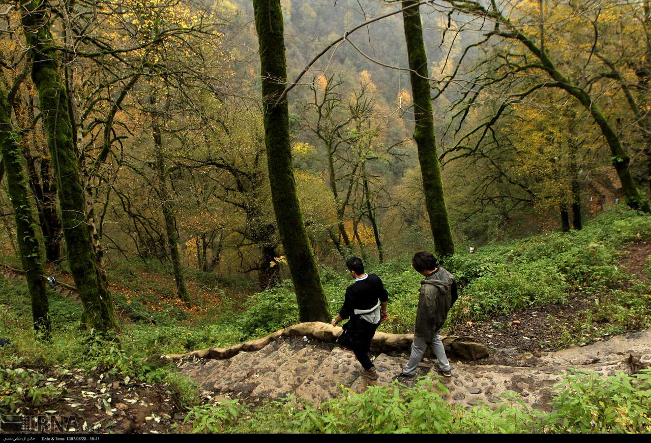 طبیعت‌ درمانی با پاییز در غرب گیلان