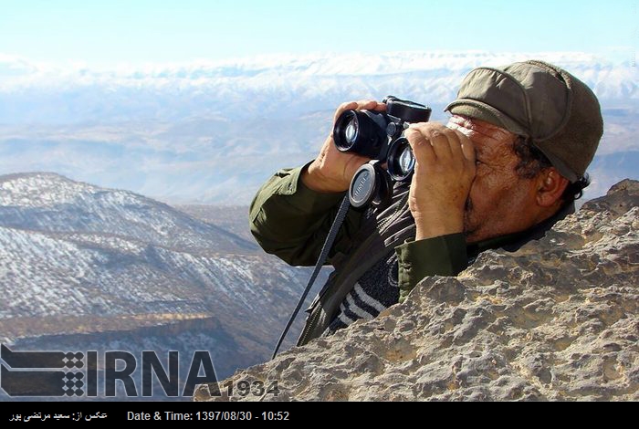 ۵۰۳ متخلف زیست محیطی در لرستان دستگیر شدند