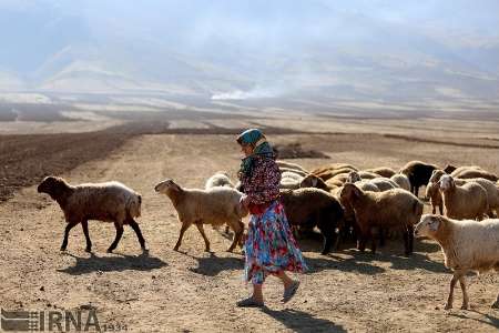 بارندگي هاي پاييزي نگراني هاي عشاير خوزستان را برطرف كرد