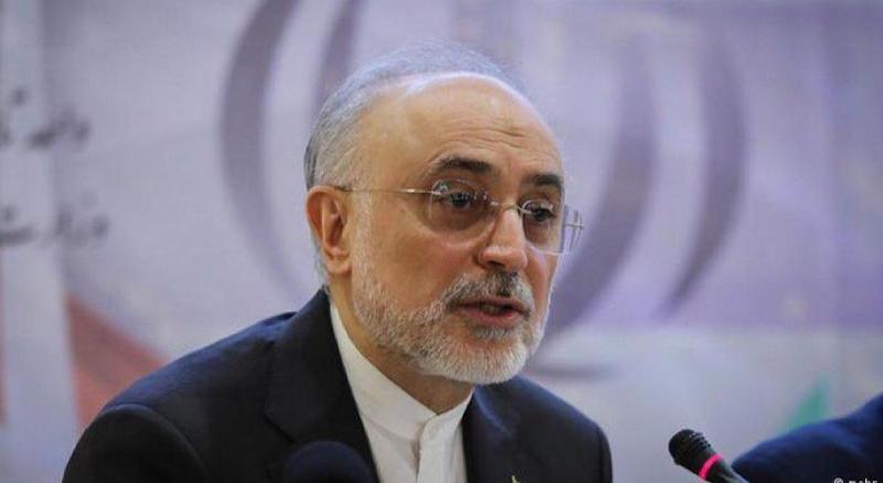 Irans Atomenergiechef in Brüssel Irans Atomenergiechef in Brüssel