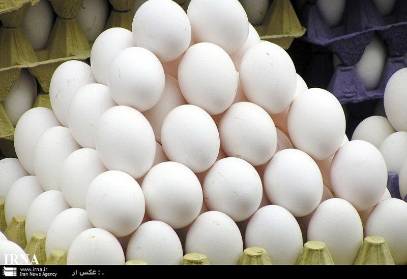قیمت هرعدد تخم مرغ در میادین پایتخت 493 تومان است