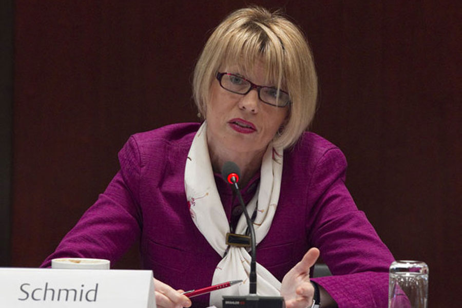 Schmid: Iran sollte von Interessen des Atomabkommens profitieren Schmid: Iran sollte von Interessen des Atomabkommens profitieren