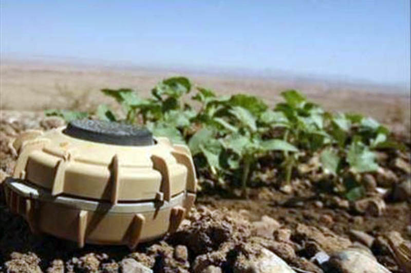 Landmine blast injures 1 in western Iran Landmine blast injures 1 in western Iran