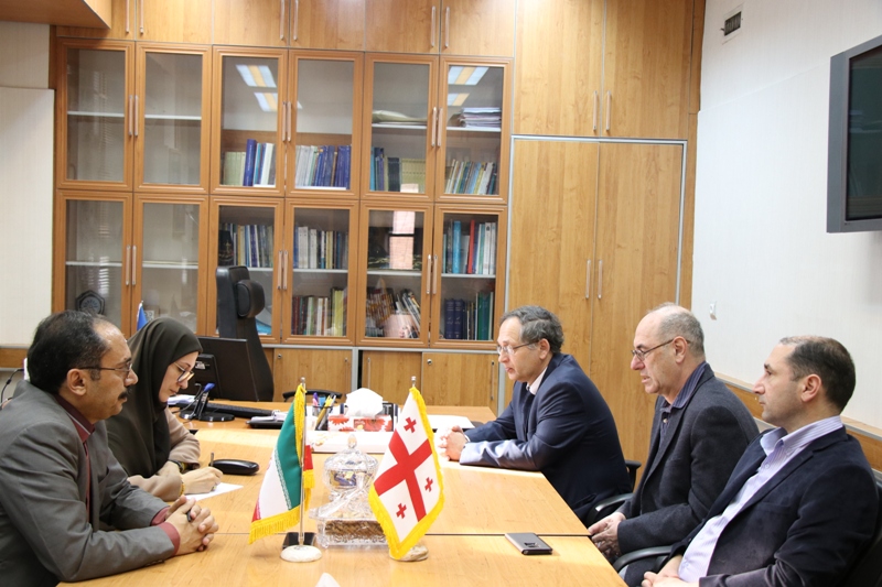 Iran und Georgien vereinbaren über wissenschaftliche Zusammenarbeit im kulturellen Erbe Iran und Georgien vereinbaren über wissenschaftliche Zusammenarbeit im kulturellen Erbe