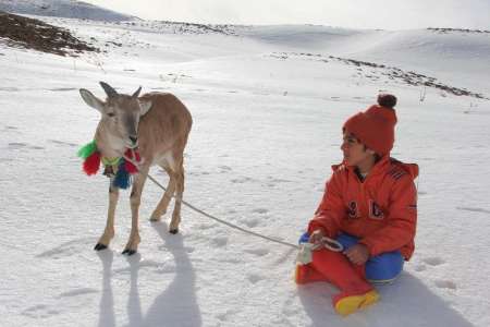 اسكی باز ایرانی به «المپیا» یونان رفت