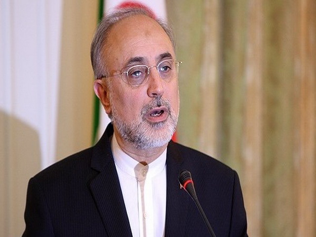 Iran can easily get back to before JCPOA position: AEOI chief Iran can easily get back to before JCPOA position: AEOI chief