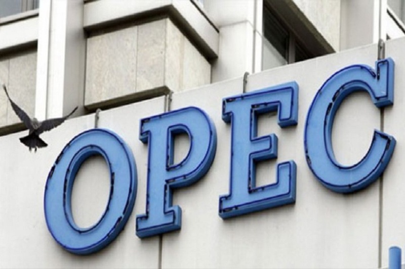 Out of OPEC, Qatar can start offering Iran oil to Asia, EU: Expert Out of OPEC, Qatar can start offering Iran oil to Asia, EU: Expert