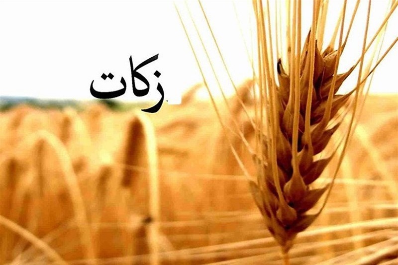 كشاورزان چاراويماقي 835 ميليون تومان زكات پرداخت كردند كشاورزان چاراويماقي 835 ميليون تومان زكات پرداخت كردند