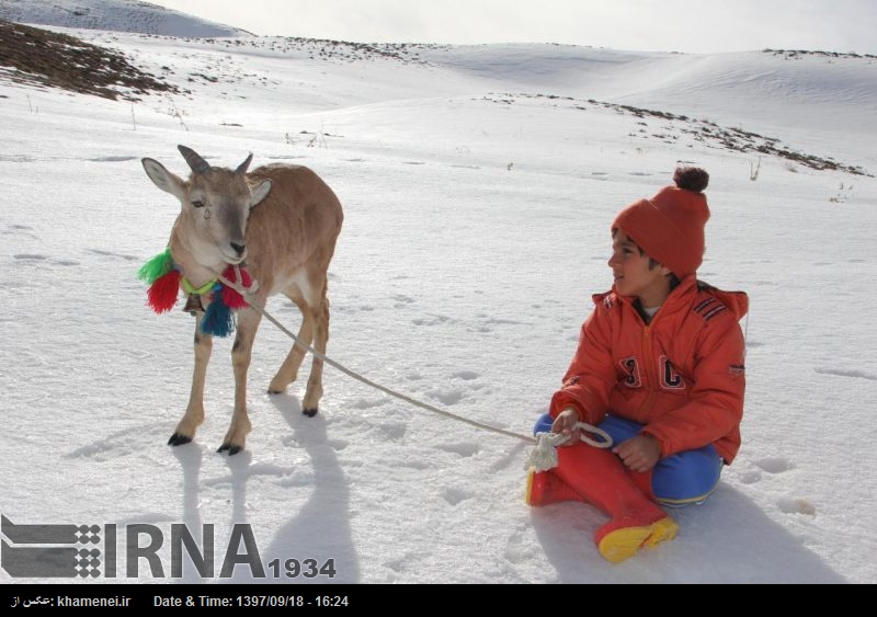 Película iraní, galardonada en el Festival Internacional Olimpia de Grecia Película iraní, galardonada en el Festival Internacional Olimpia de Grecia