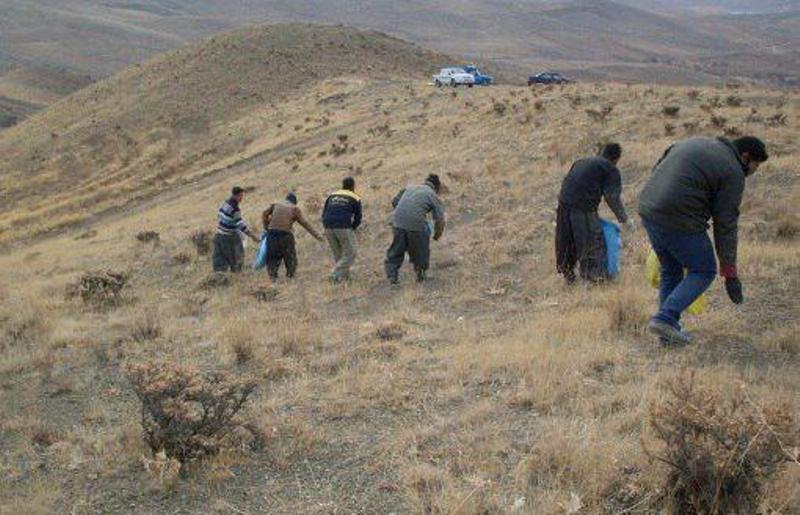 بذرپاشي گياهان مرتعي در بخش ندوشن آغاز شد