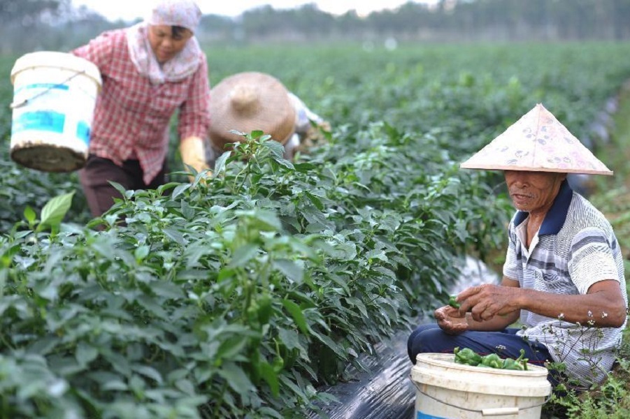 700 میلیون چینی 40 سال گذشته از فقر رهایی یافتند